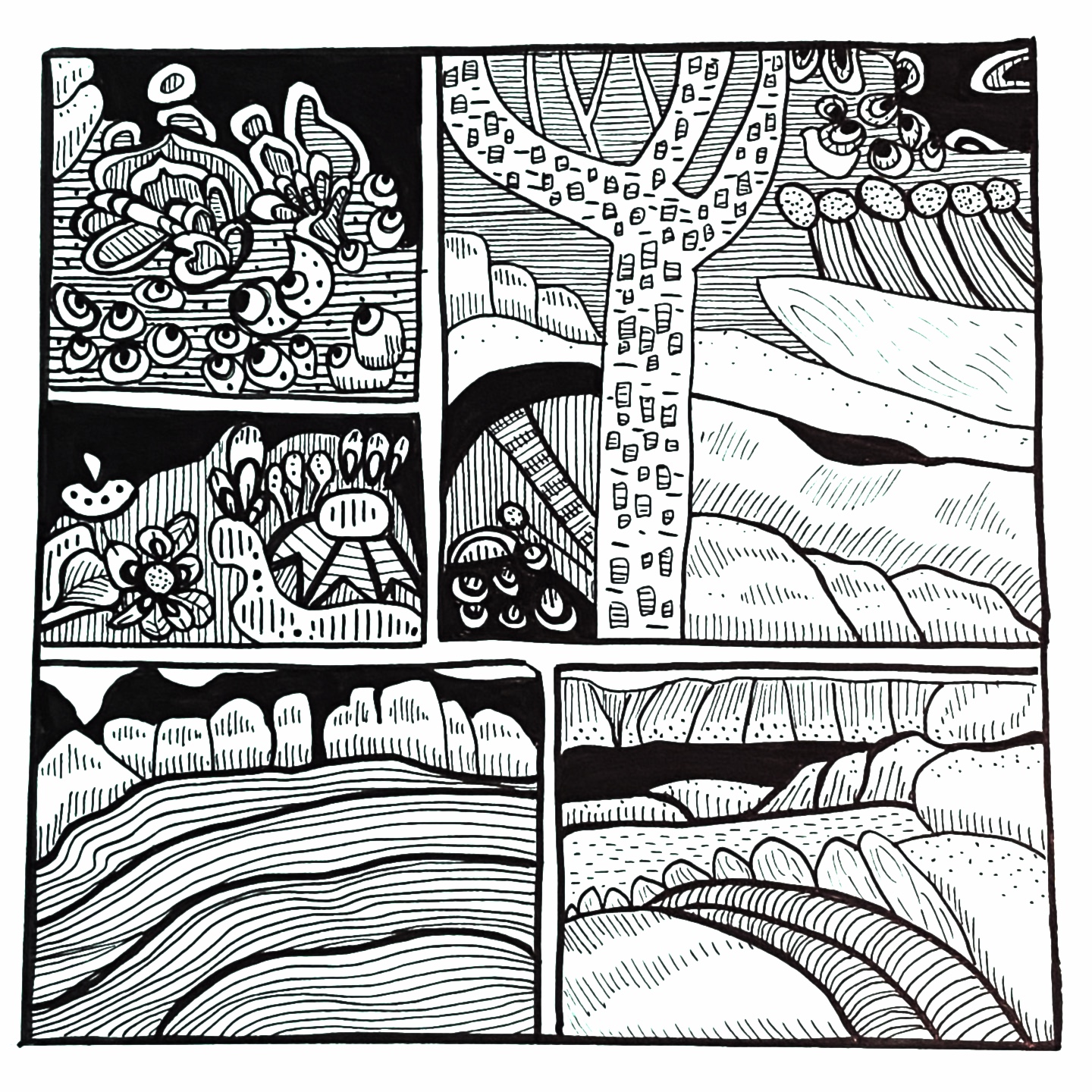 Strata
