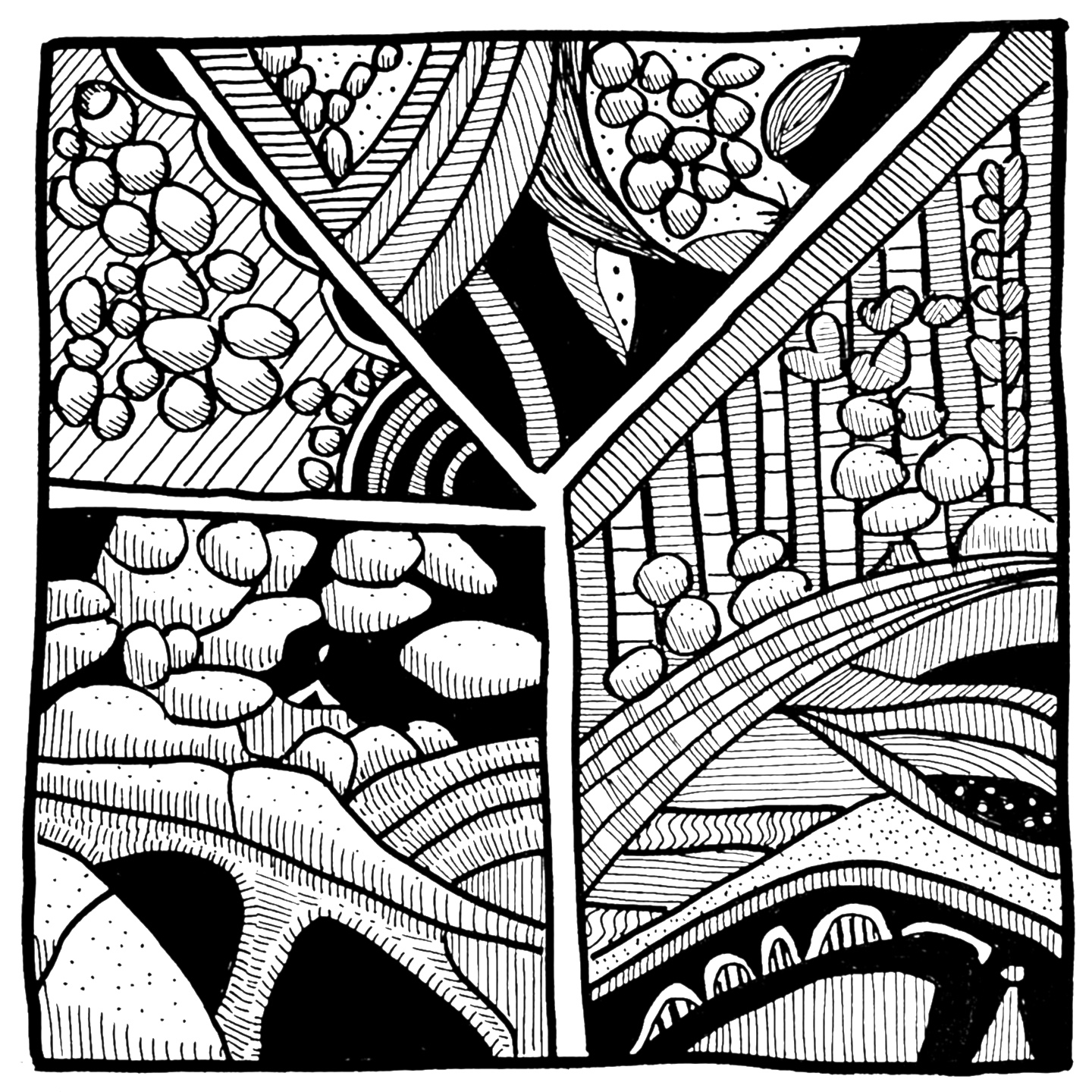 Forest Berries